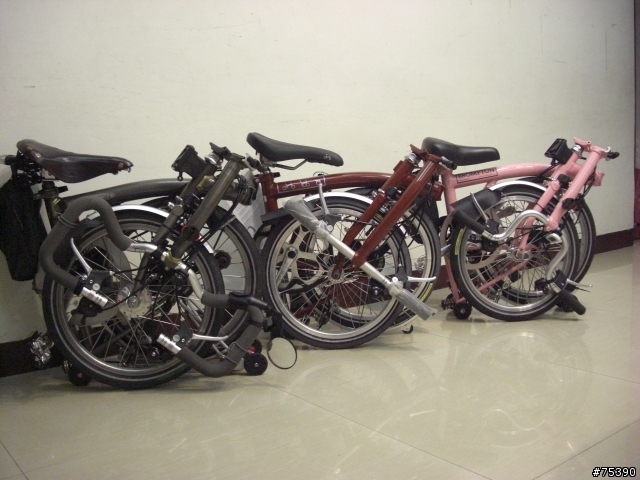 Brompton 3P的中橫遊記(埔里-武嶺-花蓮)..圖多