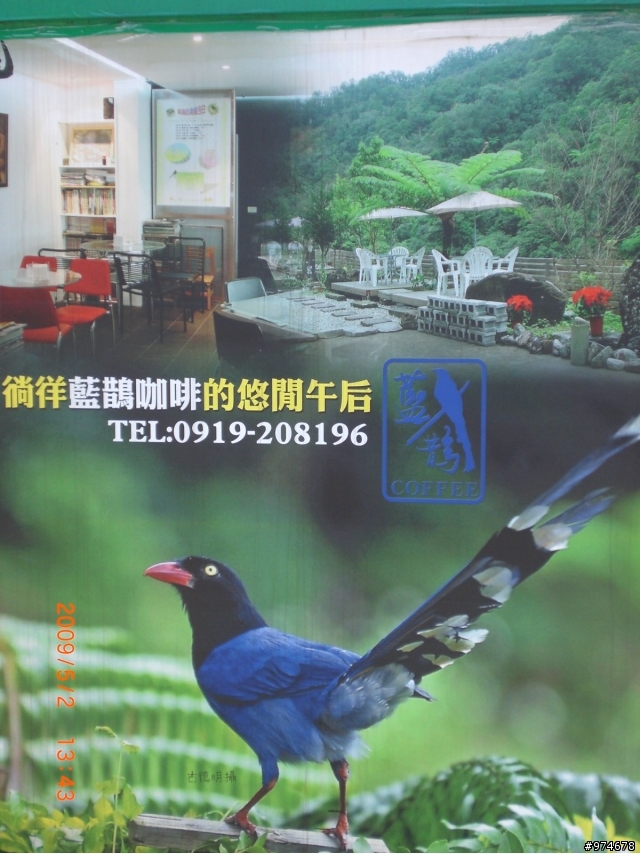 【端午連續假日活動預告與調查】