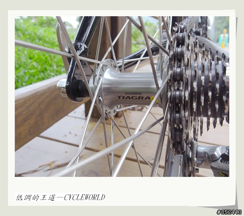 【分享】我低調的王道—彎把小徑CYCLEWORLD