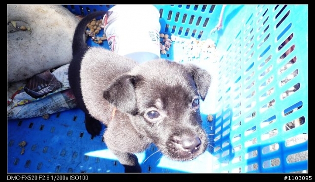 5/30南橫~亞口之日出雲海殘念遊記