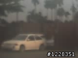 同生不同命...FORD Escort