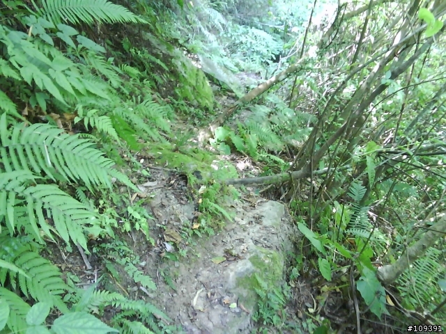 單騎硬扛東眼山 ......消失的北113