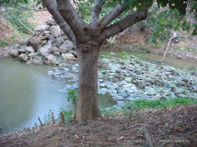 16吋6速折疊腳踏車環島旅行遊記 (威寶小折)