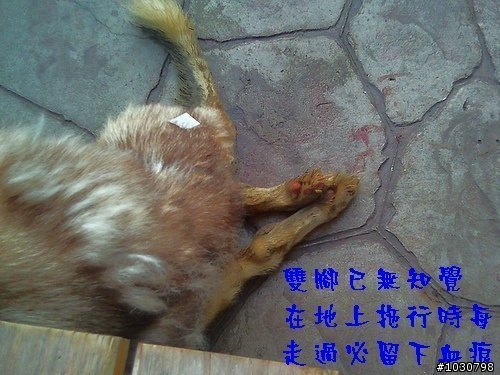 台中的車友幫幫忙(緊急)_ 大坑斷腿哈哈等待救援 (轉貼自台灣緊急救援網)