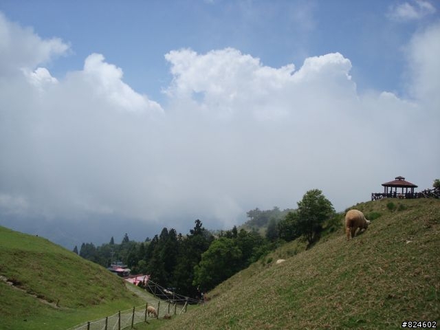 高山一豎之旅(上) 決戰武嶺之巔 - 鐵馬家庭南北大會師