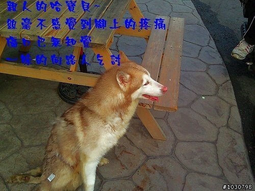 台中的車友幫幫忙(緊急)_ 大坑斷腿哈哈等待救援 (轉貼自台灣緊急救援網)