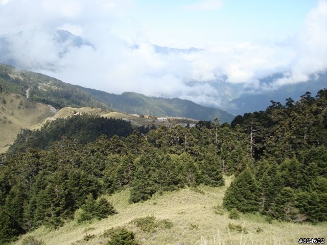 高山一豎之旅(上) 決戰武嶺之巔 - 鐵馬家庭南北大會師