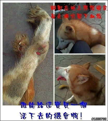 台中的車友幫幫忙(緊急)_ 大坑斷腿哈哈等待救援 (轉貼自台灣緊急救援網)