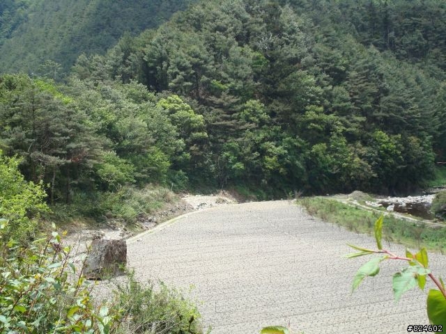 高山一豎之旅(上) 決戰武嶺之巔 - 鐵馬家庭南北大會師