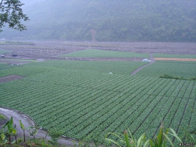 高山一豎之旅(上) 決戰武嶺之巔 - 鐵馬家庭南北大會師
