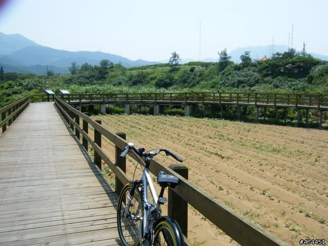 萬里金山鐵馬行