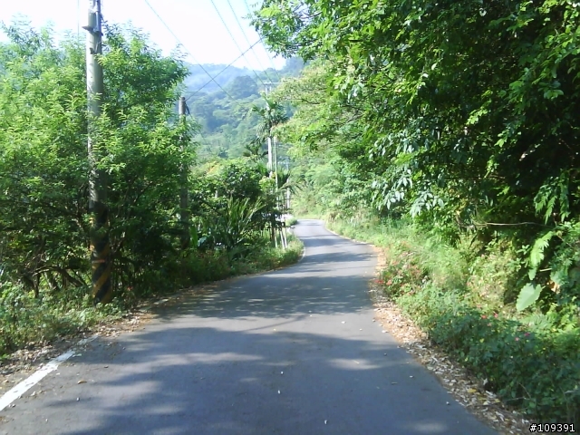 單騎硬扛東眼山 ......消失的北113