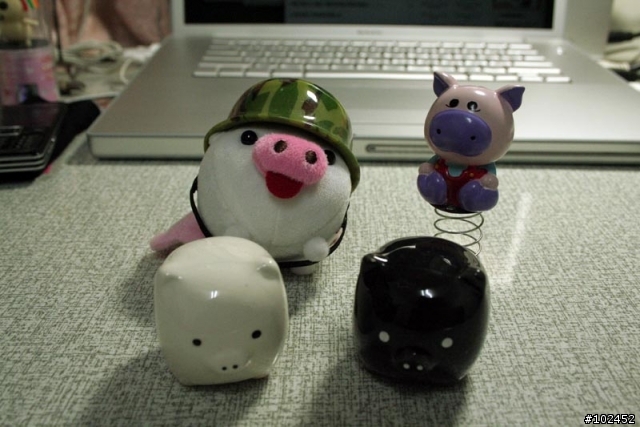 豬兒大集合!