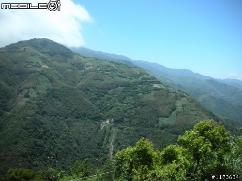 黑白配 ~ 羅馬公路+拉拉山 ~