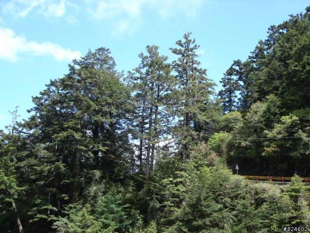 高山一豎之旅(上) 決戰武嶺之巔 - 鐵馬家庭南北大會師