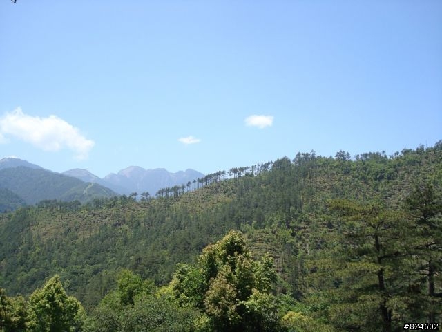 高山一豎之旅(上) 決戰武嶺之巔 - 鐵馬家庭南北大會師