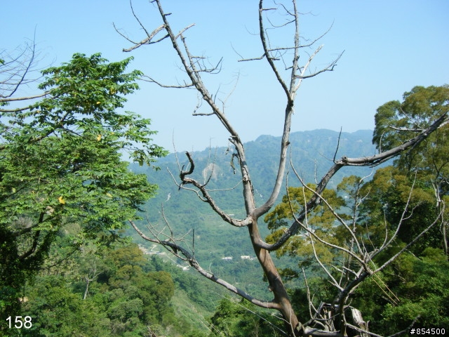 台中縣南投縣-一江橋136-國姓-頭櫃-中和-星野-一江橋一圈73公里