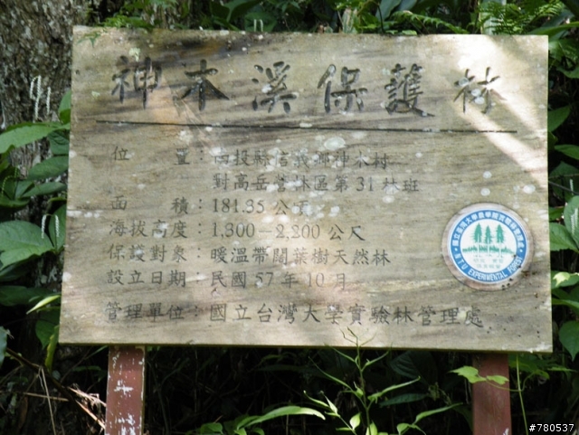 神木林道+支線