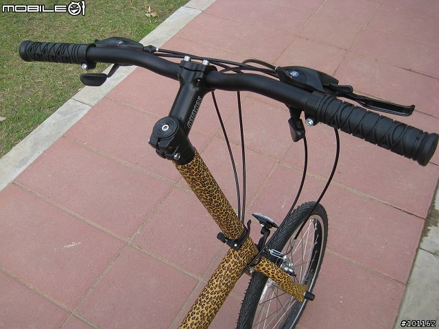 前無古人「包皮」腳踏車-4/30更新
