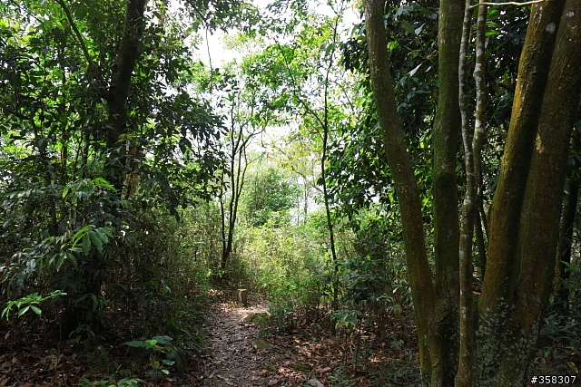 三地門:小百岳~尾寮山