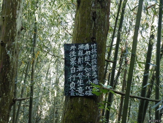 神木林道+支線