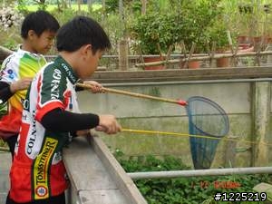 協力車遊記-3 花壇--三春老樹
