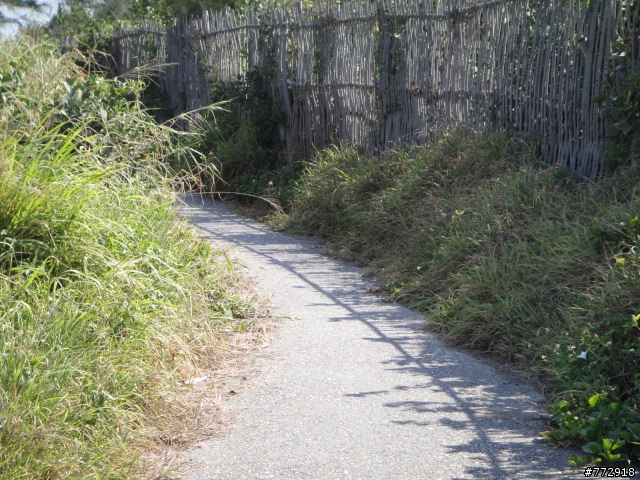 台東縣的自行車古道(台東市豐里海岸)
