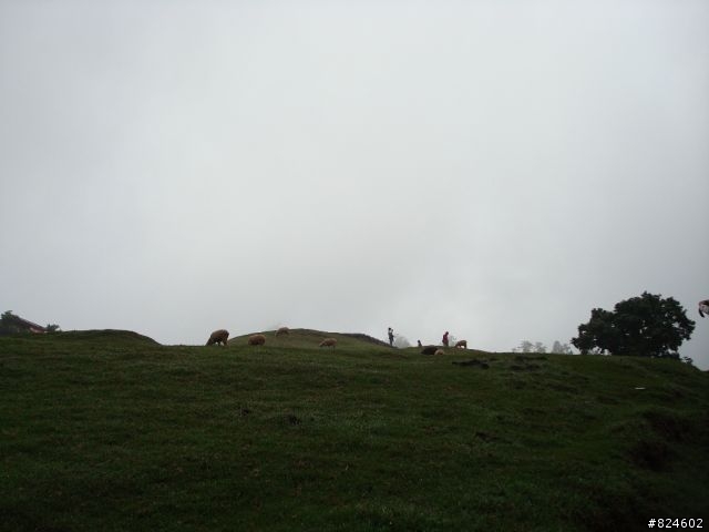 高山一豎之旅(上) 決戰武嶺之巔 - 鐵馬家庭南北大會師