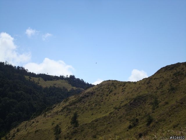 高山一豎之旅(上) 決戰武嶺之巔 - 鐵馬家庭南北大會師