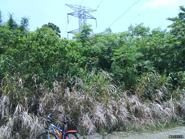 單騎硬扛東眼山 ......消失的北113