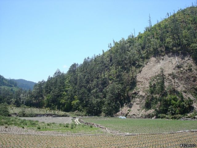 高山一豎之旅(上) 決戰武嶺之巔 - 鐵馬家庭南北大會師