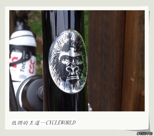 【分享】我低調的王道—彎把小徑CYCLEWORLD