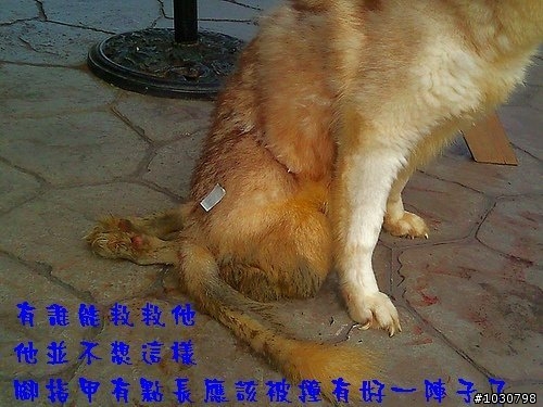 台中的車友幫幫忙(緊急)_ 大坑斷腿哈哈等待救援 (轉貼自台灣緊急救援網)