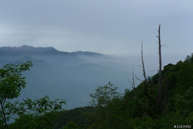 (分享)林北愛騎團破曉出擊 Never Stop 塔塔加挑戰賽