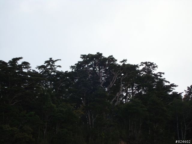 高山一豎之旅(上) 決戰武嶺之巔 - 鐵馬家庭南北大會師