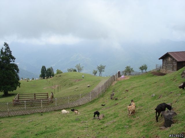高山一豎之旅(上) 決戰武嶺之巔 - 鐵馬家庭南北大會師