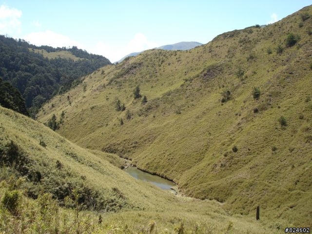 高山一豎之旅(上) 決戰武嶺之巔 - 鐵馬家庭南北大會師