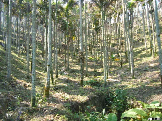 台中縣南投縣-一江橋136-國姓-頭櫃-中和-星野-一江橋一圈73公里