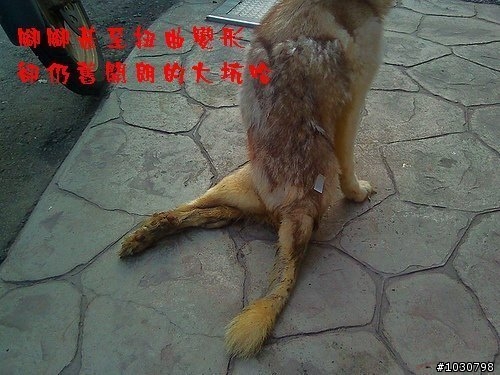 台中的車友幫幫忙(緊急)_ 大坑斷腿哈哈等待救援 (轉貼自台灣緊急救援網)