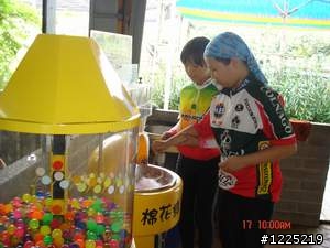 協力車遊記-3 花壇--三春老樹