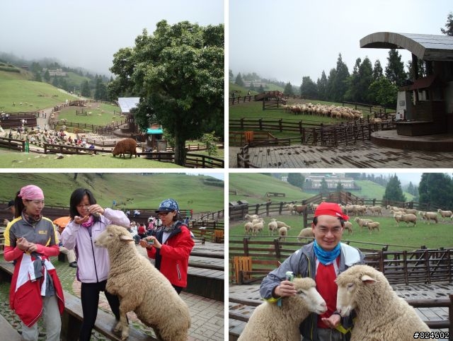 高山一豎之旅(上) 決戰武嶺之巔 - 鐵馬家庭南北大會師