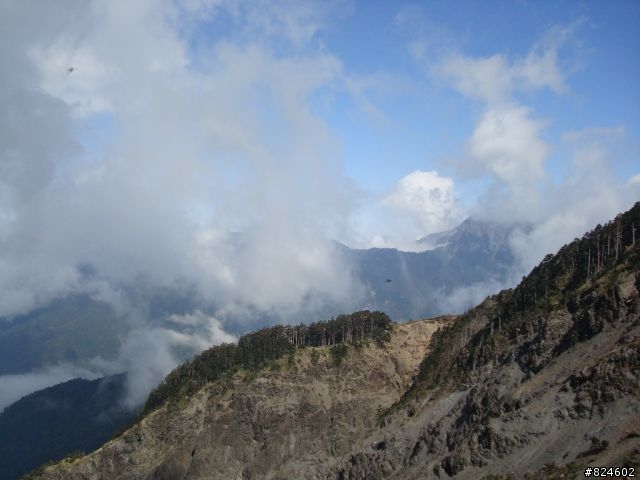 高山一豎之旅(上) 決戰武嶺之巔 - 鐵馬家庭南北大會師