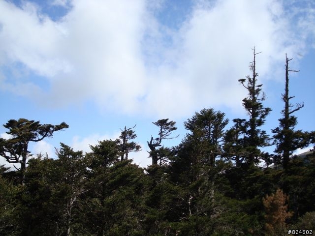 高山一豎之旅(上) 決戰武嶺之巔 - 鐵馬家庭南北大會師