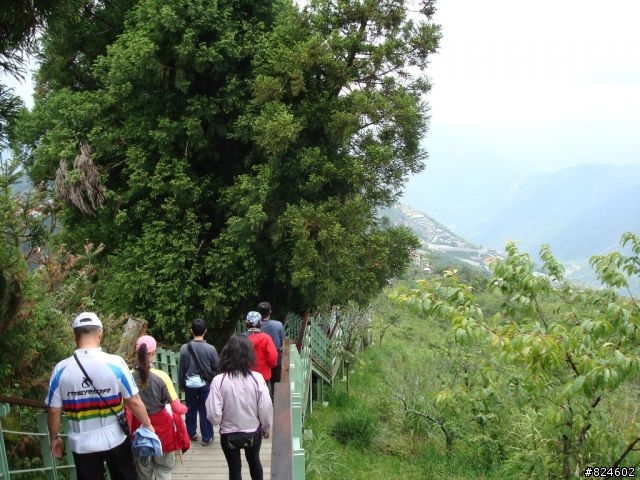 高山一豎之旅(上) 決戰武嶺之巔 - 鐵馬家庭南北大會師