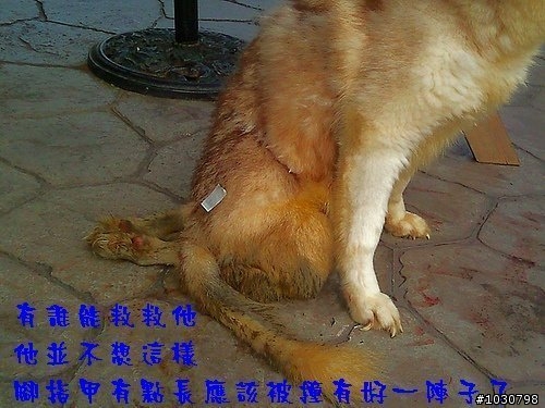 台中的車友幫幫忙(緊急)_ 大坑斷腿哈哈等待救援 (轉貼自台灣緊急救援網)