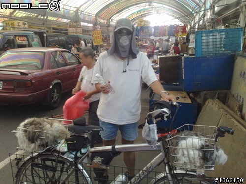 只有為你,寵物單車...再進化