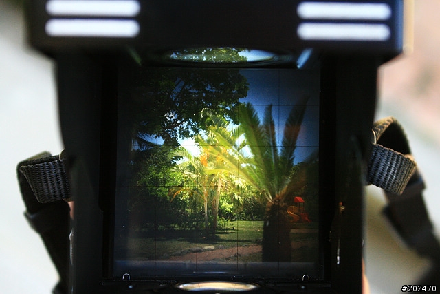 Rolleiflex 3.5 TLR上片&使用簡介