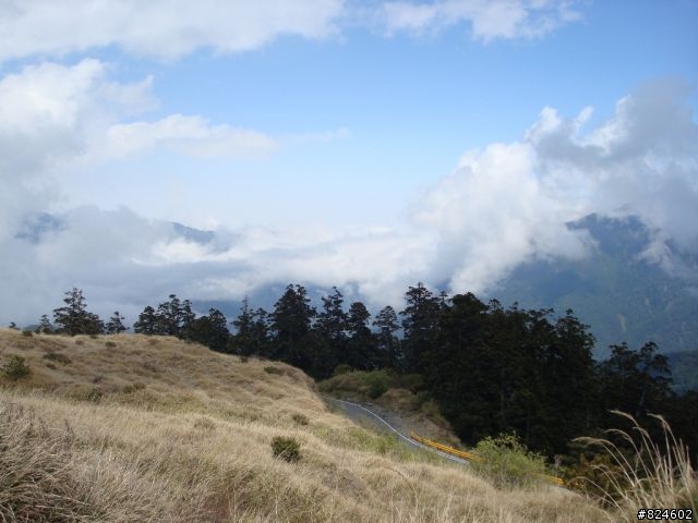 高山一豎之旅(上) 決戰武嶺之巔 - 鐵馬家庭南北大會師