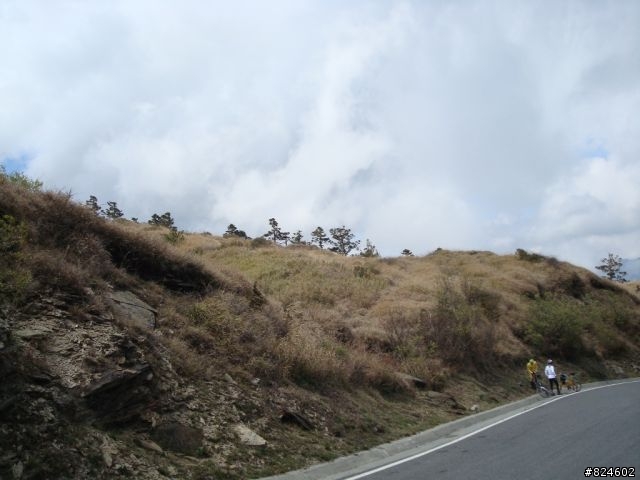 高山一豎之旅(上) 決戰武嶺之巔 - 鐵馬家庭南北大會師