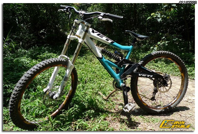 優雅與殺氣的結合--Yeti 303R-DH